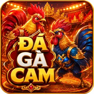 Đá gà cam 789bet